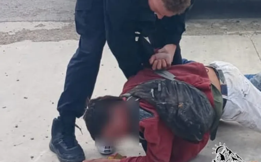 Intentó robar una computadora en un comercio, se trenzó a golpes con los empleados y terminó detenido